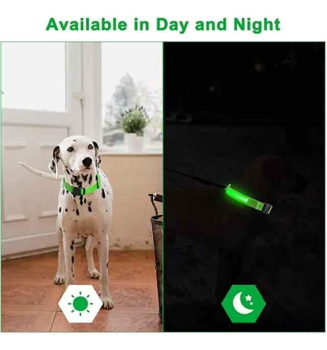 Collar Perro Led Recargable Via Usb / Somos Ventasmacul - Imagen 8