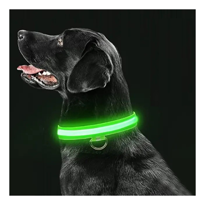 Collar Perro Led Recargable Via Usb / Somos Ventasmacul - Imagen 2