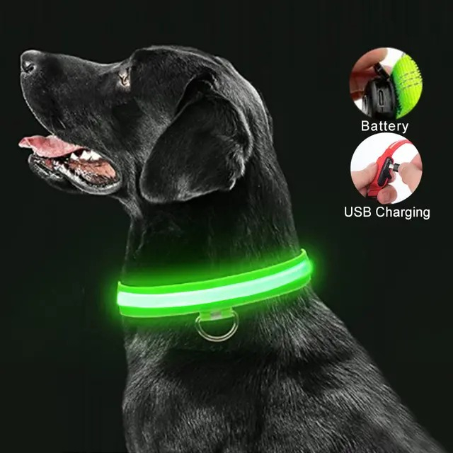 Collar Perro Led Recargable Via Usb / Somos Ventasmacul - Imagen 3