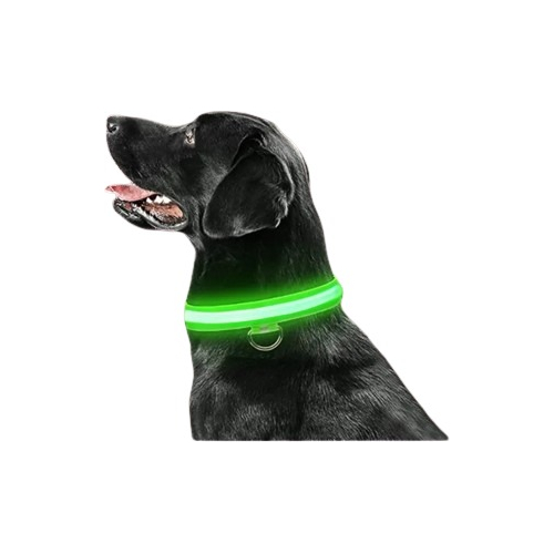 Collar Perro Led Recargable Via Usb / Somos Ventasmacul